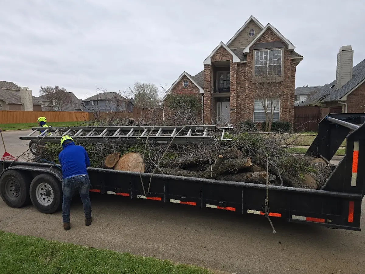 Expert Lot Clearing with proper safety equipment in Max